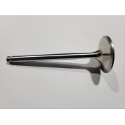 INTAKE VALVE - QUATTROPORTE III