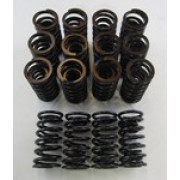 V8 VALVE SPRING SET