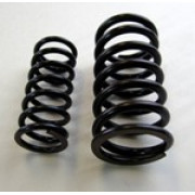 VALVE SPRING PAIR (OUTER AND INNER) V8 AND INLINE SIX