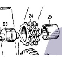 101/2/24 GEAR (LARGE)