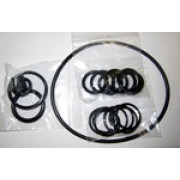 LHM HYDRAULIC PUMP SEAL KIT