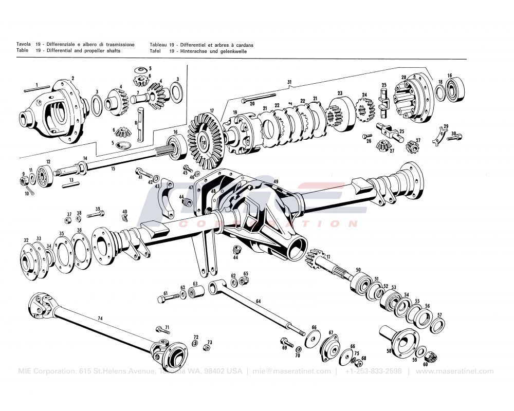 Maserati / INDY / T-19 - differential and propeller shafts