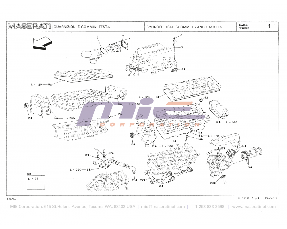 Maserati / Shamal / T-01 - cylinder head grommets and gaskets
